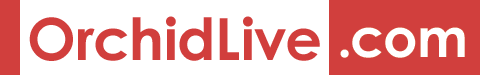 Orchid Live .com logo